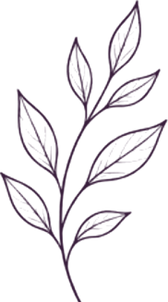 Branch